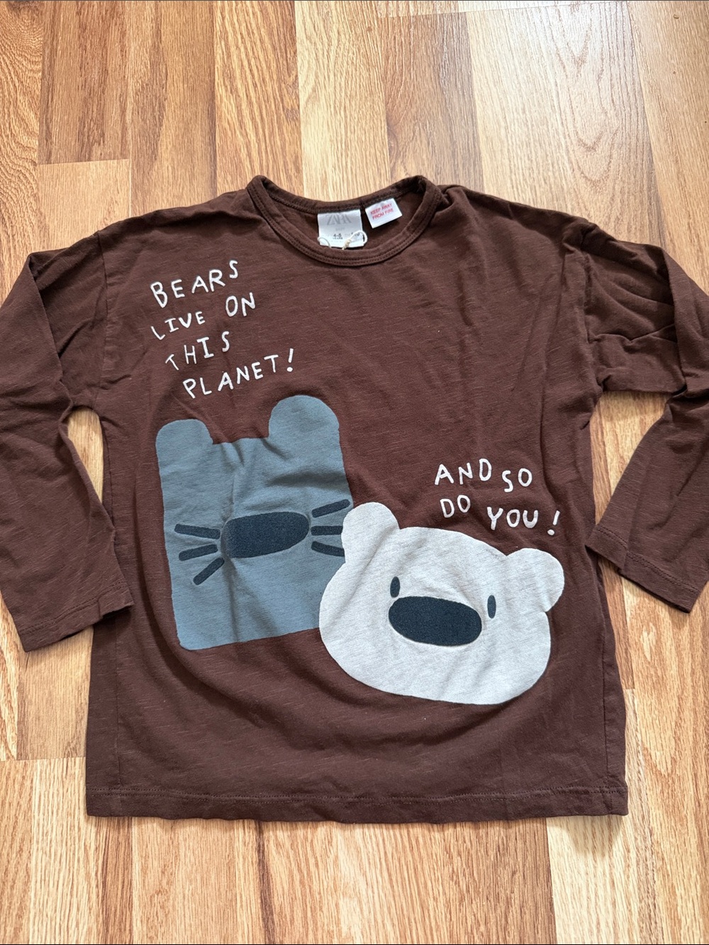 Zara Brown Long Sleeve Tee with Bear Graphics